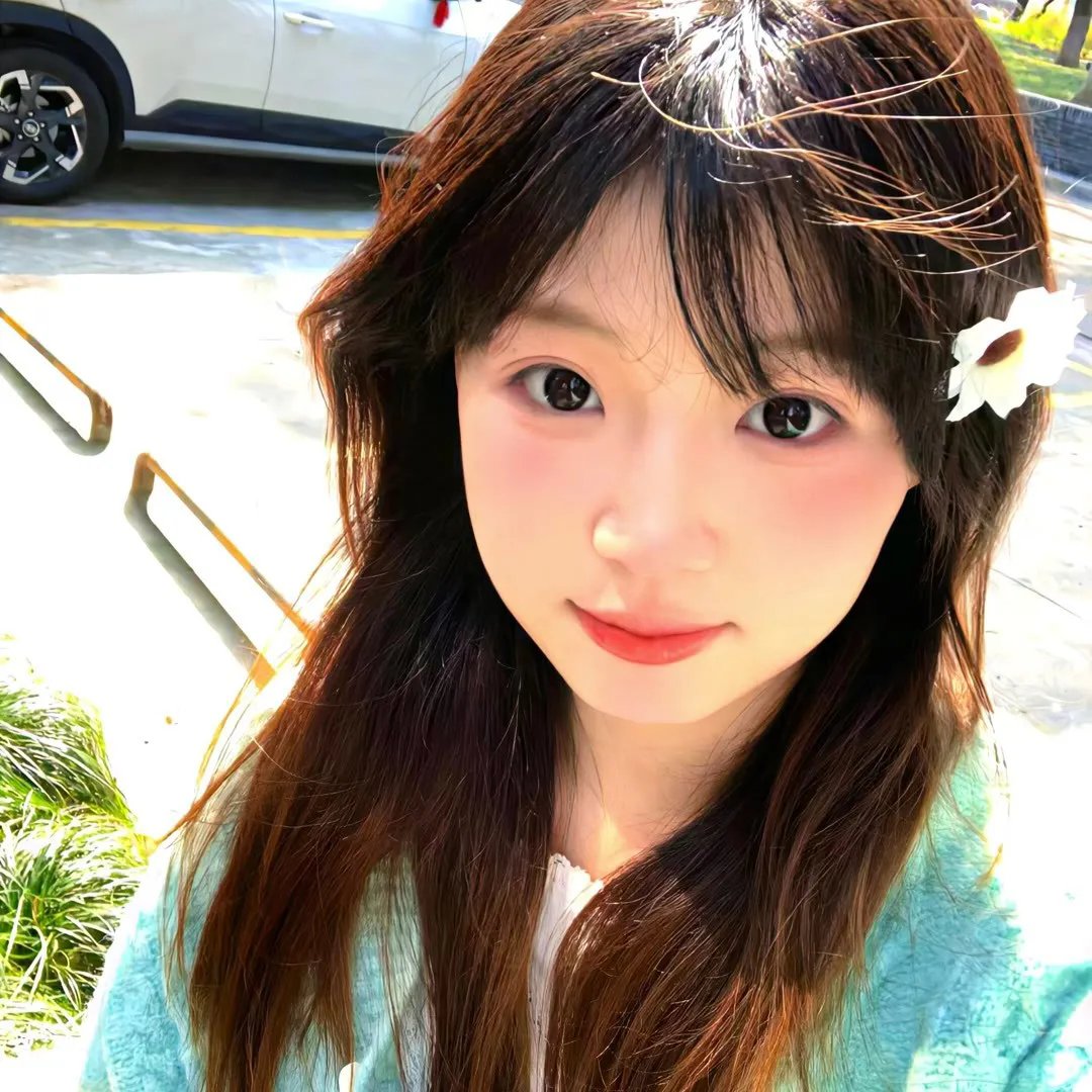 完美伴侣
