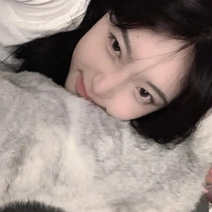 小狐狸